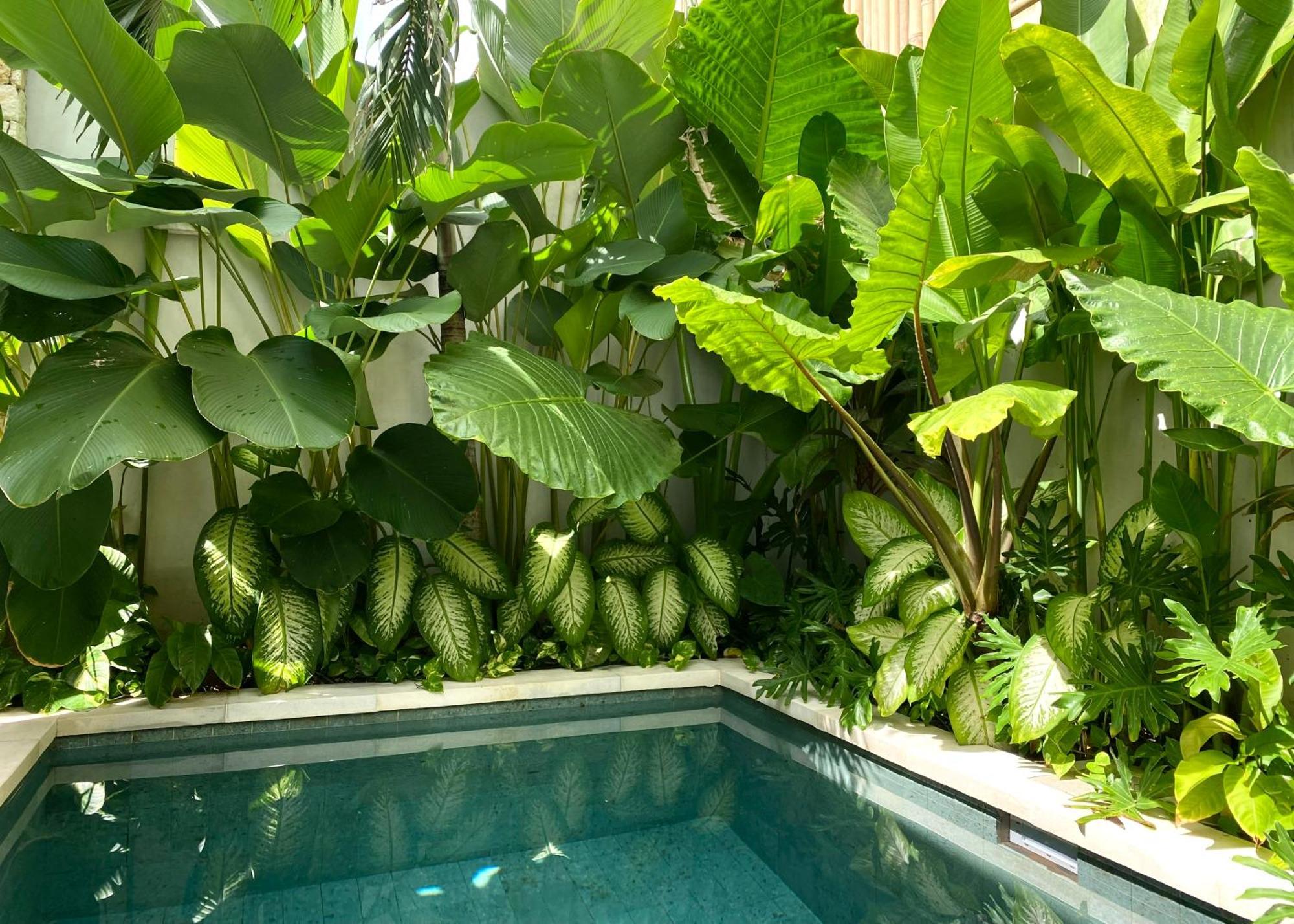 Alma Bingin Boutique Hotel Uluwatu Extérieur photo